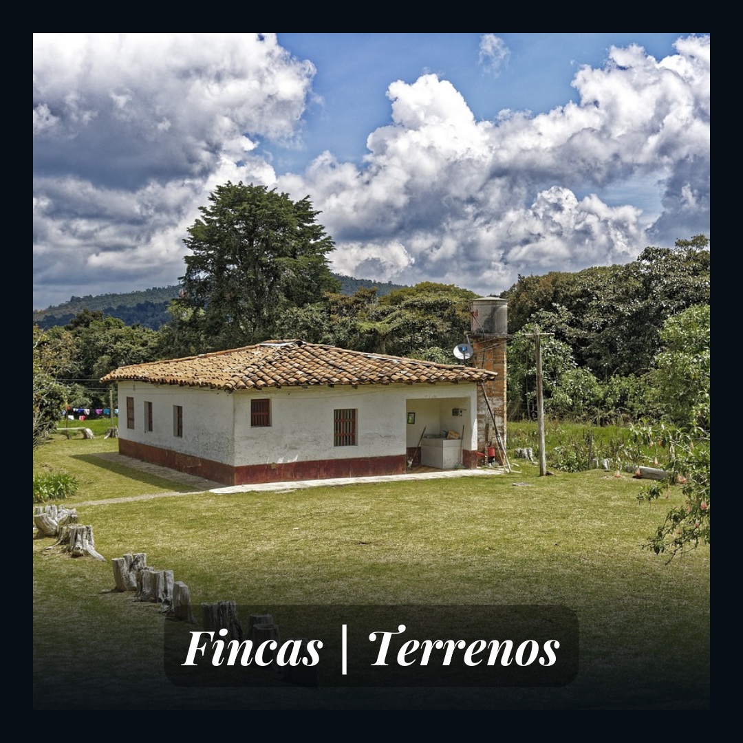 https://arguellesbarrientos.com/property/?type=225